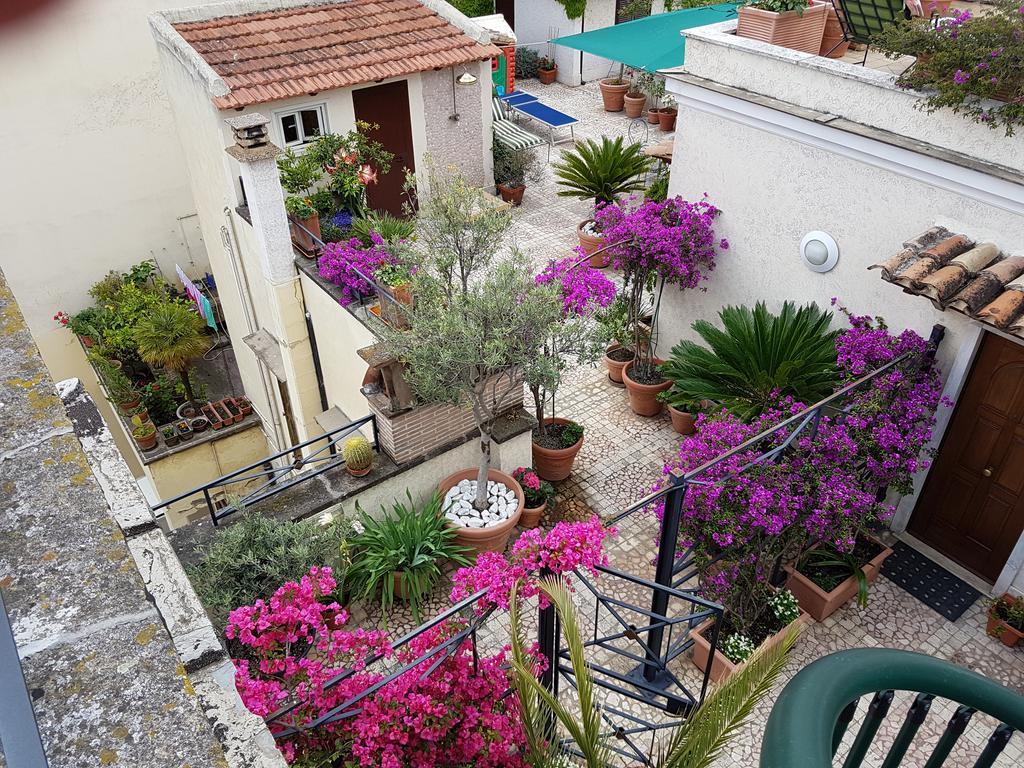 Suite con terraza
